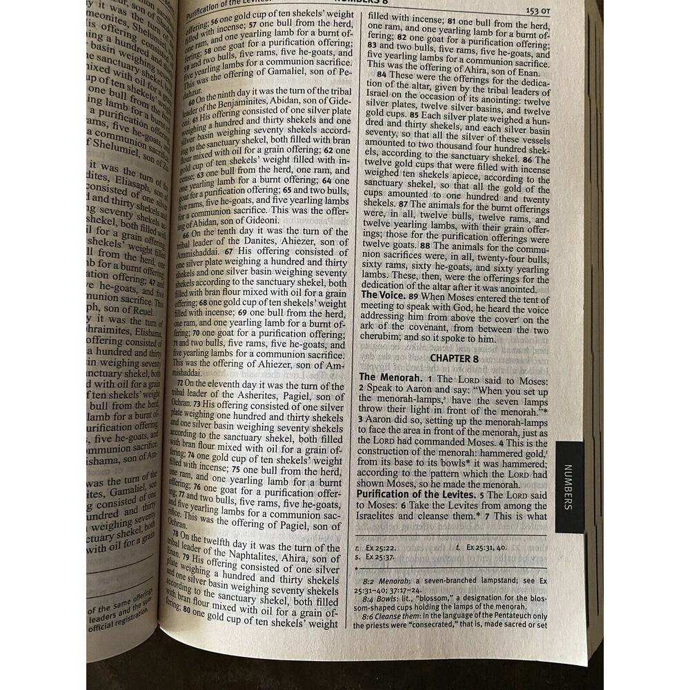 The Catholic Teen Bible StudyNAB Revised Edition Illustrated Inserts - Picture 7 of 16